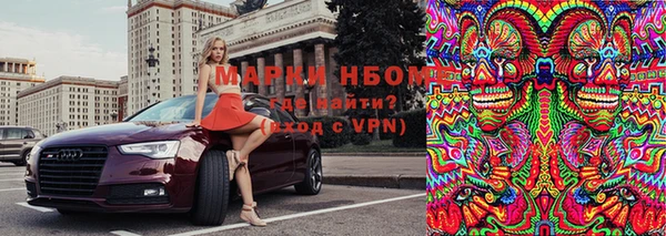 apvp Алзамай