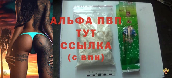 apvp Алзамай
