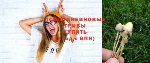 таблы Алексин