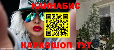 СК Заводоуковск