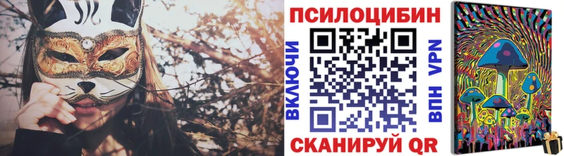 Псилоцибиновые грибы Psilocybe  blacksprut ссылка  Касимов  сколько стоит 
