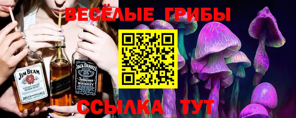 Галлюциногенные грибы Magic Shrooms  Вход с VPN  Псилоцибиновые грибы мухоморы  Касимов 