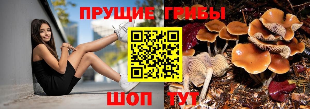 Псилоцибиновые грибы ЛСД Касимов