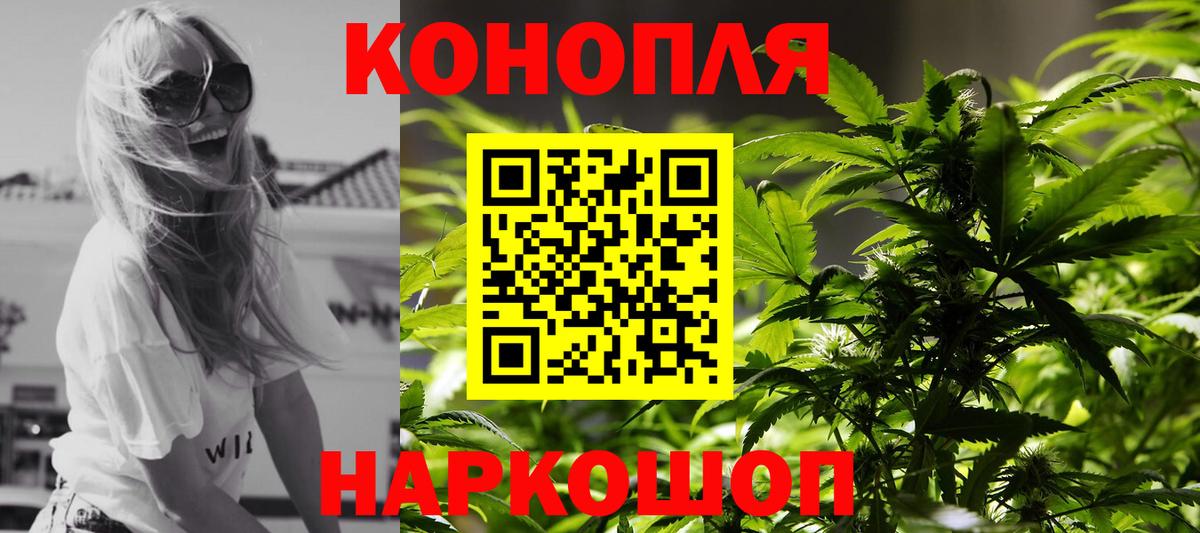Бошки Шишки планчик  МАРИХУАНА семена  Марихуана MAZAR  Вход с VPN  Касимов 